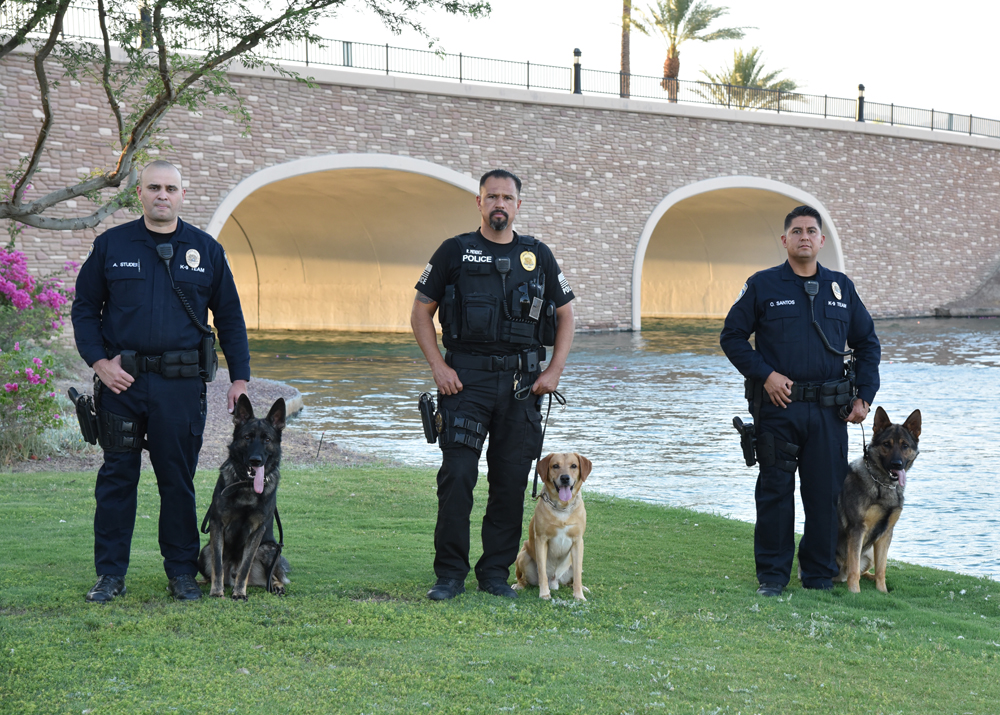 K-9 Unit